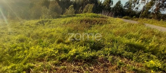  قطعة أرض في Luso, Portugal رقم 26784 12