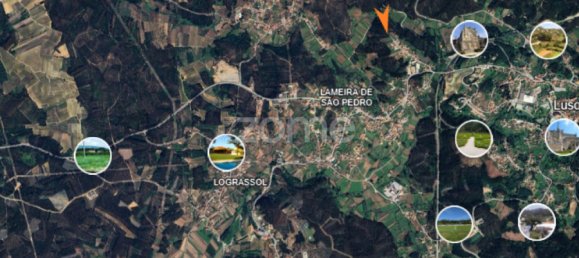  قطعة أرض في Luso, Portugal رقم 26784 3