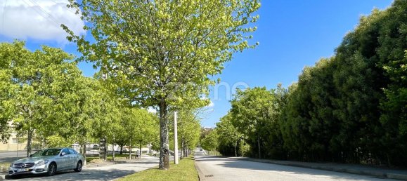 Земельный участок 1000м² в Сан Жуан да Мадейра, Португалия № 78854 12