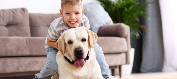 5-Zimmer Bungalow in Vulkaneifel, Germany, Nr. 233546 10