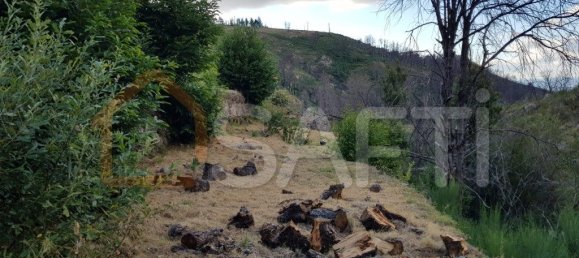 2 bedrooms House in Folgosinho, Portugal No. 79723 19