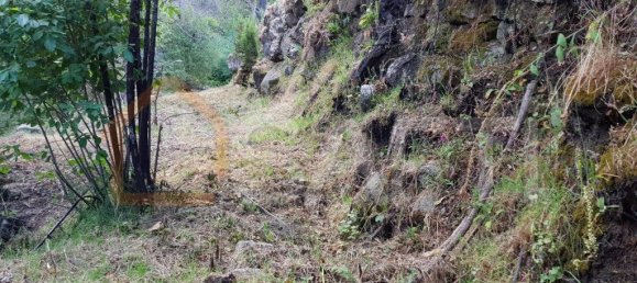 2 bedrooms House in Folgosinho, Portugal No. 79723 24