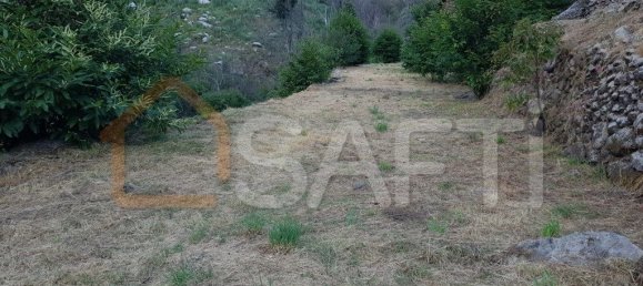 2 bedrooms House in Folgosinho, Portugal No. 79723 10