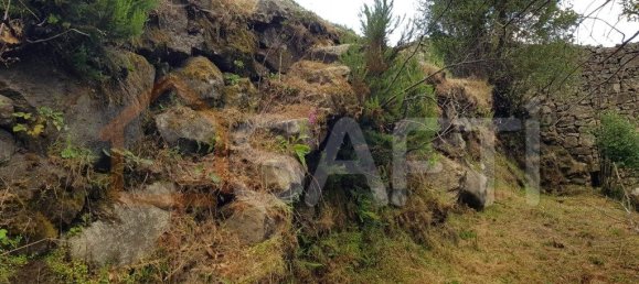 2 bedrooms House in Folgosinho, Portugal No. 79723 6