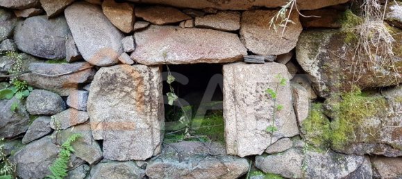 2 bedrooms House in Folgosinho, Portugal No. 79723 12