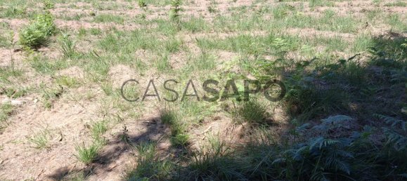 1200m² Land in Santa Maria da Feira, Portugal No. 190443 3