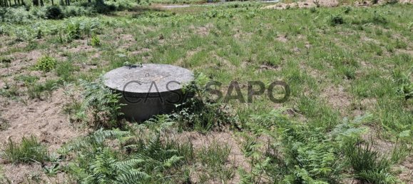 1200m² Land in Santa Maria da Feira, Portugal No. 190443 5