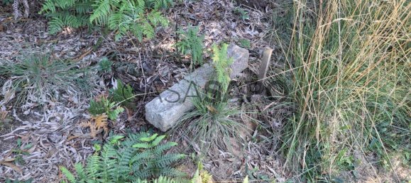 1200m² Land in Santa Maria da Feira, Portugal No. 190443 4