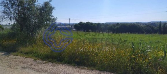 قطعة أرض في Tomar, Portugal 13720متر مربع رقم 79606 5