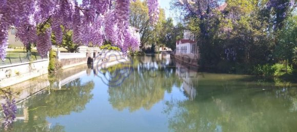 قطعة أرض في Tomar, Portugal 13720متر مربع رقم 79606 9