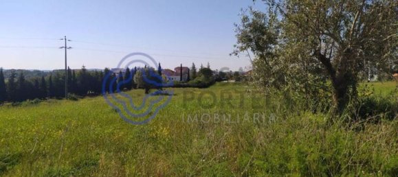 قطعة أرض في Tomar, Portugal 13720متر مربع رقم 79606 3