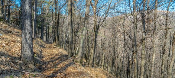 Вилла с 6 комнатами в Тавернерио, Италия № 142770 35