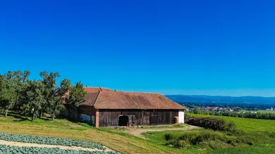 400m² Land in Scharten, Austria No. 231956