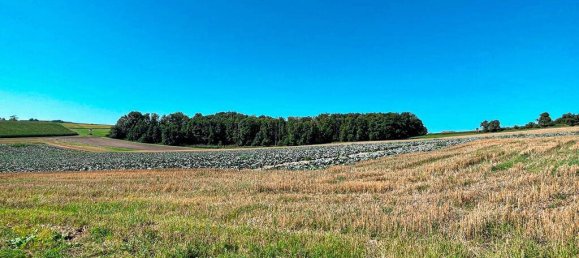 400m² Land in Scharten, Austria No. 231956 14