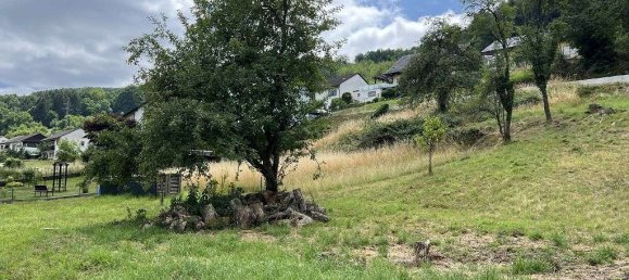 Terrain à Kusel, Germany 600m² No. 175307 2