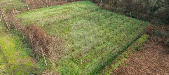 4 bedrooms House in Garfe, Portugal No. 188395 32