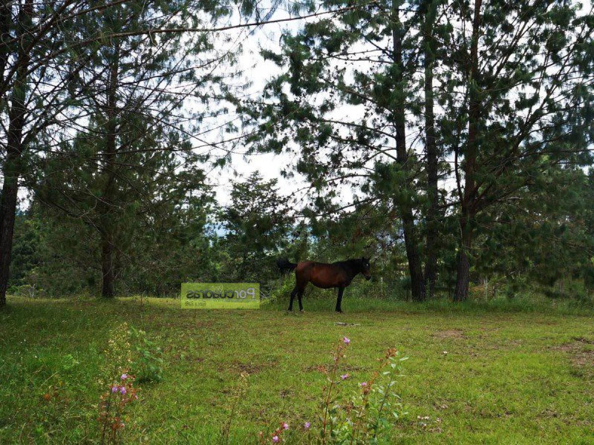 Terreno em Antioquia, Colombia N.º 600
