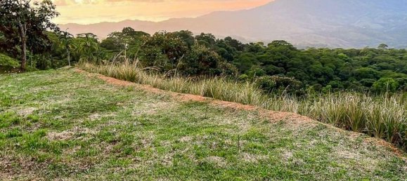 Grundstück in Perez Zeledon, Costa Rica, Nr. 1898 2