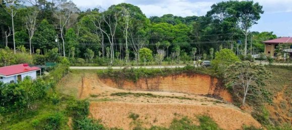 Grundstück in Perez Zeledon, Costa Rica, Nr. 1898 5