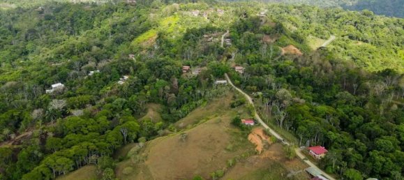 Grundstück in Perez Zeledon, Costa Rica, Nr. 1898 3