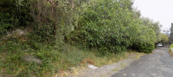 11 rooms House in Villanova d'Albenga, Italy No. 235420 11