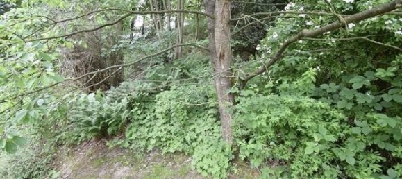  قطعة أرض في Diepholz, Germany رقم 325461 12