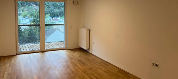 2 rooms Apartment in Salzburg, Austria No. 175918 3
