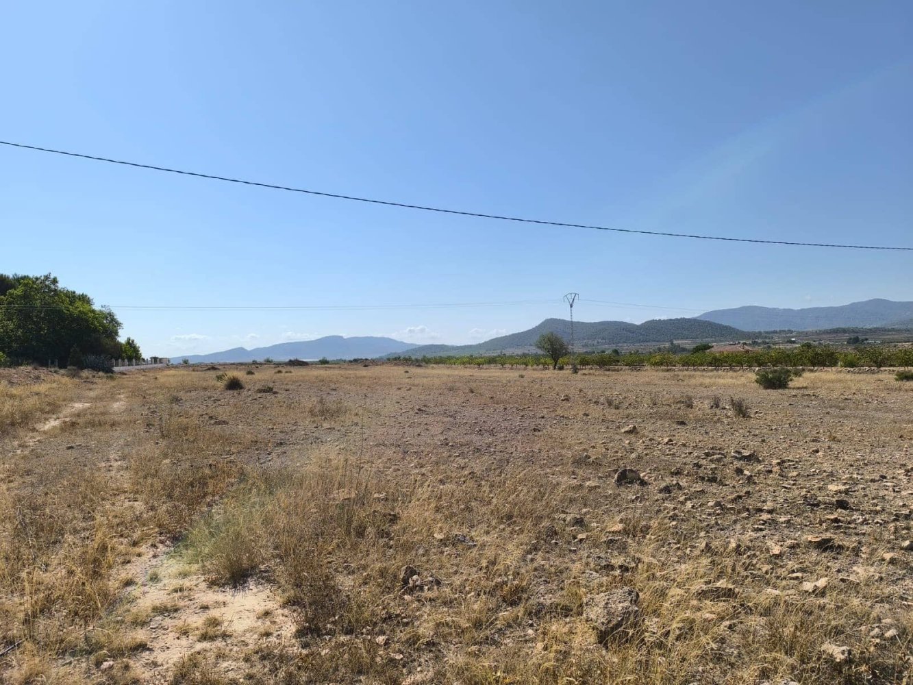  Land in Pinoso, Spain No. 138148