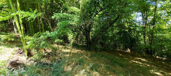 8 rooms House in Rocca d'Arazzo, Italy No. 293053 31