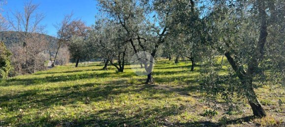 2380m² Land in Calvi dell'Umbria, Italy No. 145956 6