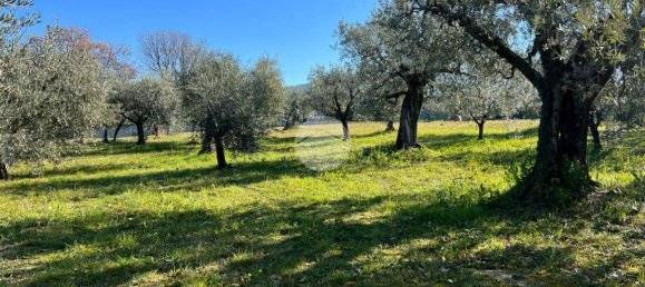2380m² Land in Calvi dell'Umbria, Italy No. 145956 2