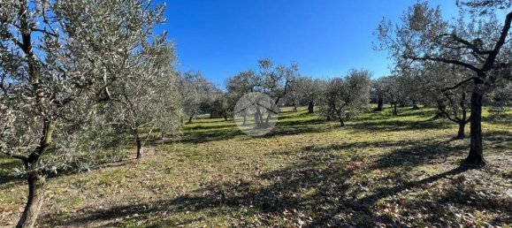 2380m² Land in Calvi dell'Umbria, Italy No. 145956 5