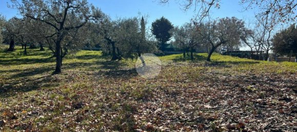2380m² Land in Calvi dell'Umbria, Italy No. 145956 7