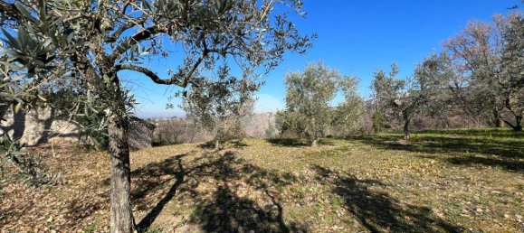 2380m² Land in Calvi dell'Umbria, Italy No. 145956 4