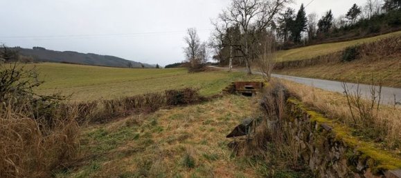 6 bedrooms House in Arfeuilles, France No. 199705 2