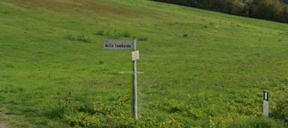 4 chambres Appartement à Montopoli in Val d'Arno, Italy No. 346447 5