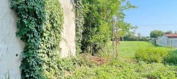 5-Zimmer Villa in Tezze sul Brenta, Italy, Nr. 109423 5