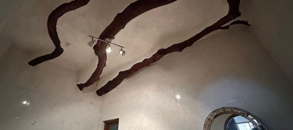 9 chambres Maison à Novelda, Spain No. 28362 22