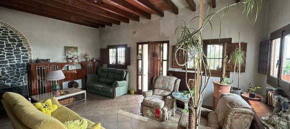 9 chambres Maison à Novelda, Spain No. 28362 43