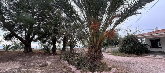 9 chambres Maison à Novelda, Spain No. 28362 52