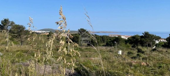 Земельный участок в Эс-Меркадаль, Испания № 1924 2