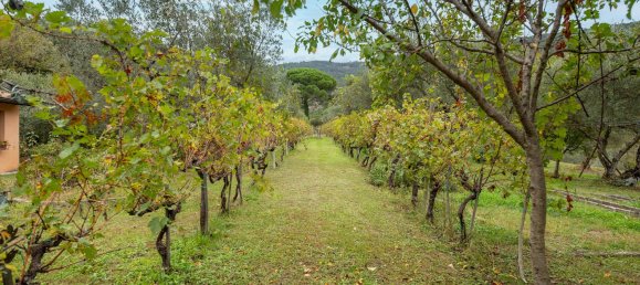 Дом с 6 спальнями в Кортона, Италия № 63296 4