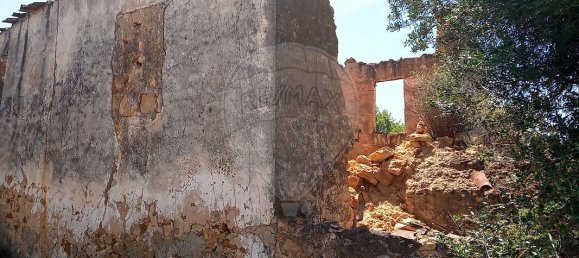 Дом с 4 спальнями в Пешан, Португалия № 22138 6