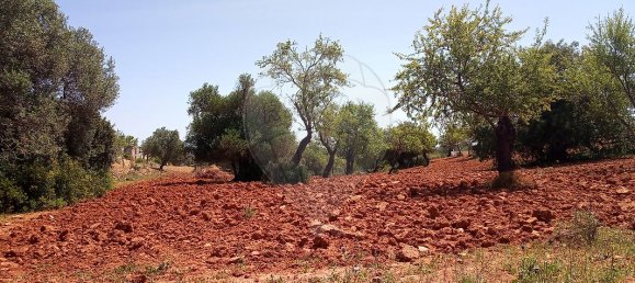 Дом с 4 спальнями в Пешан, Португалия № 22138 2