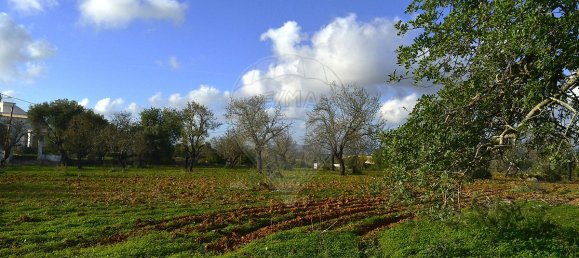 Дом с 4 спальнями в Пешан, Португалия № 22138 21