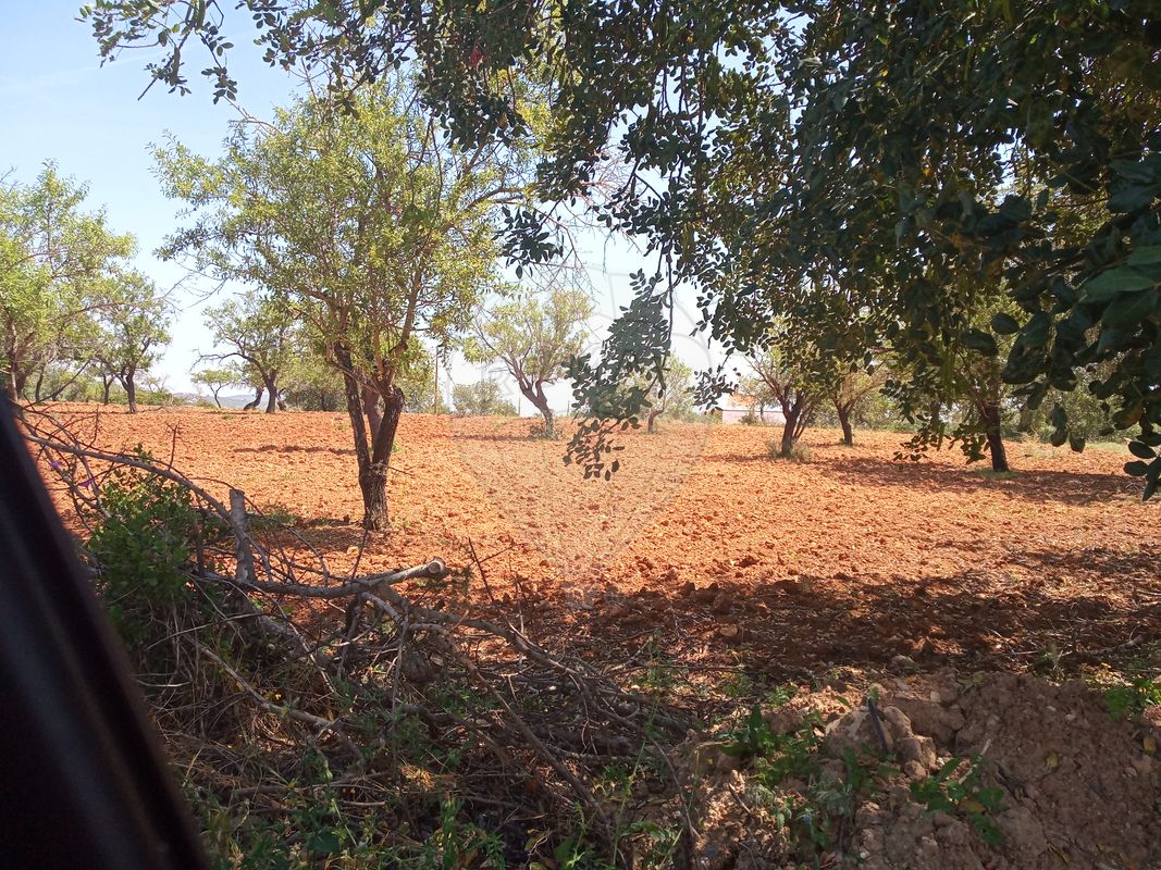 Дом с 4 спальнями в Пешан, Португалия № 22138