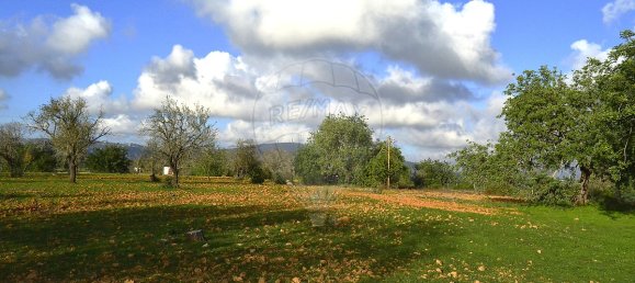 Дом с 4 спальнями в Пешан, Португалия № 22138 22