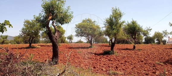 Дом с 4 спальнями в Пешан, Португалия № 22138 9