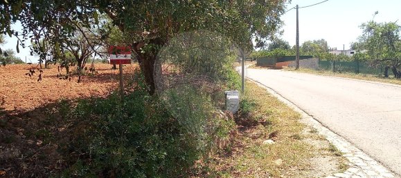 Дом с 4 спальнями в Пешан, Португалия № 22138 14