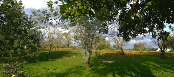 Дом с 4 спальнями в Пешан, Португалия № 22138 24